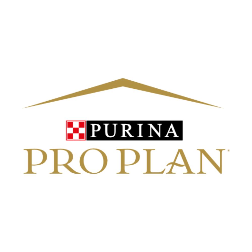 Pro Plan